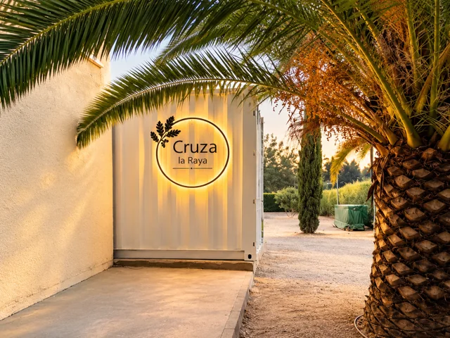 Entrada junto a una palmera y rótulo iluminado